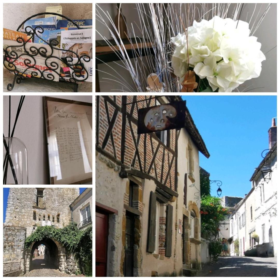 Вилла L'Echappee En Sologne Mennetou-sur-Cher Экстерьер фото